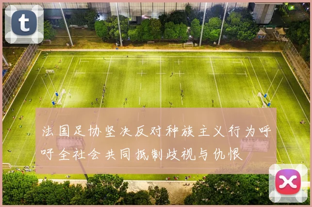 法国足协坚决反对种族主义行为呼吁全社会共同抵制歧视与仇恨