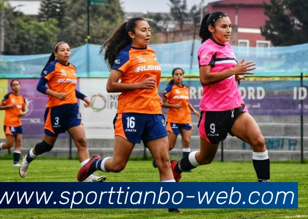 天博体育APP 体育赛事宣传图